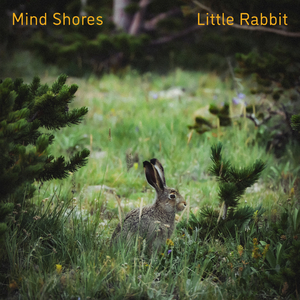 国产精品一区来来来
