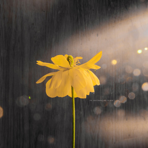 国产精品一区来来来
